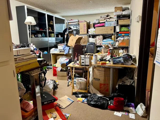 Bay Area Wide Hauling & Junk Removal — photo from the business 12