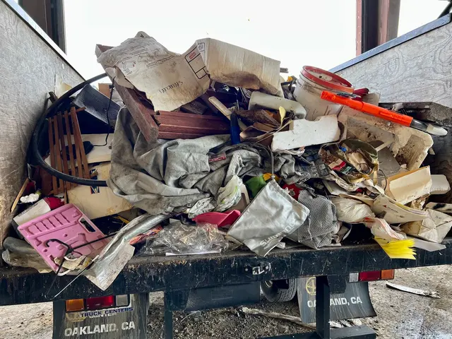 Bay Area Wide Hauling & Junk Removal — photo from the business 4