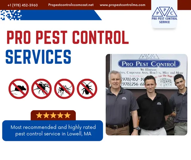 Pro Pest Control Service — photo from the business 7