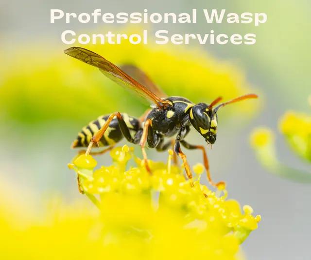 Andover Pest Control Inc. — photo from the business 7