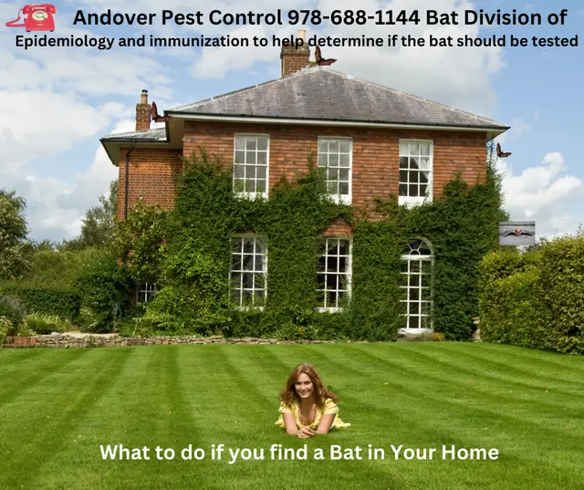 Andover Pest Control Inc. — photo from the business 9