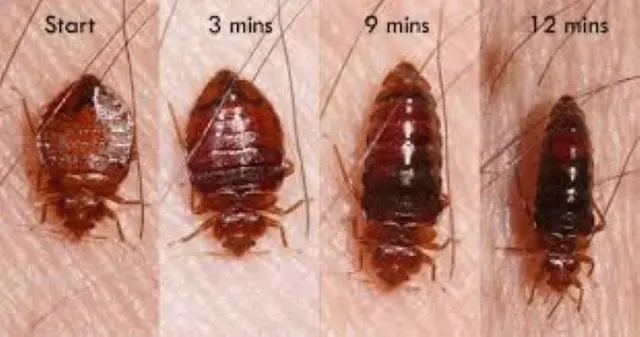Security Pest Control & Termite Company — photo from the business 8