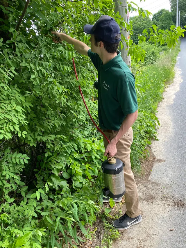 Security Pest Control & Termite Company — photo from the business 2