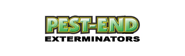 Pest-End — photo from the business 3