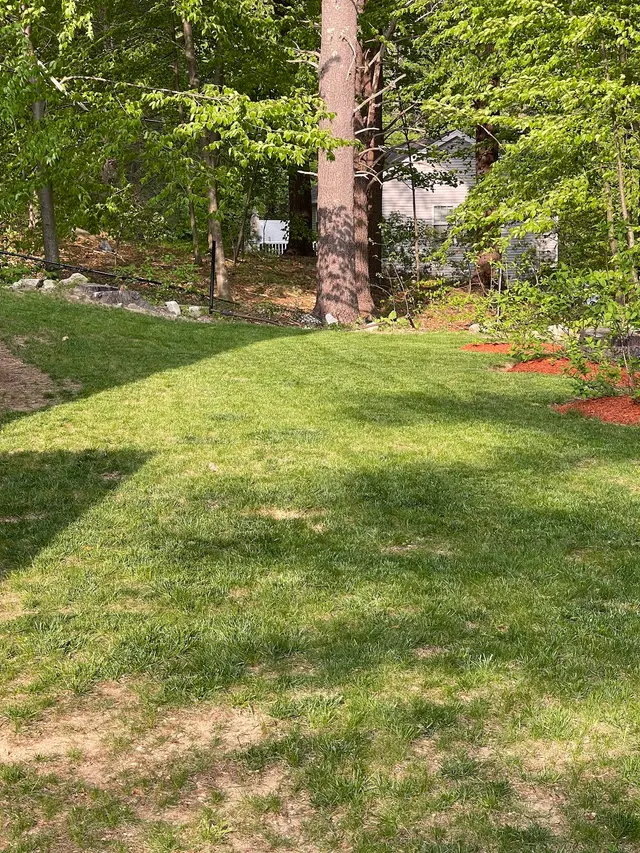 Pest-End — customer photo 2