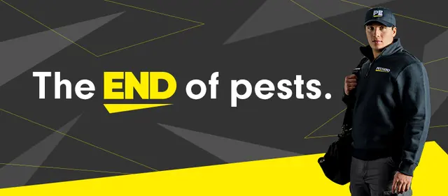 Pest-End — photo from the business 1