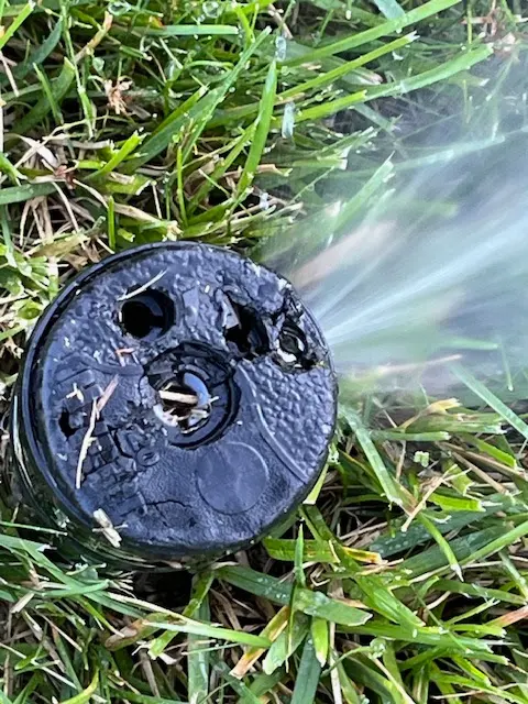 Patriot Pest Management — customer photo 8