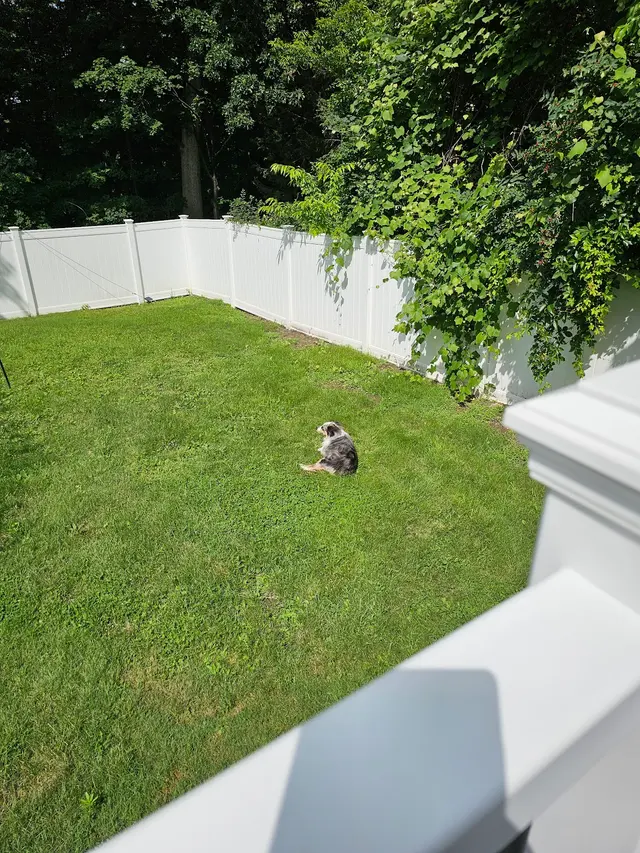 Patriot Pest Management — customer photo 5
