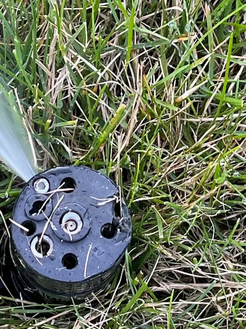 Patriot Pest Management — customer photo 2