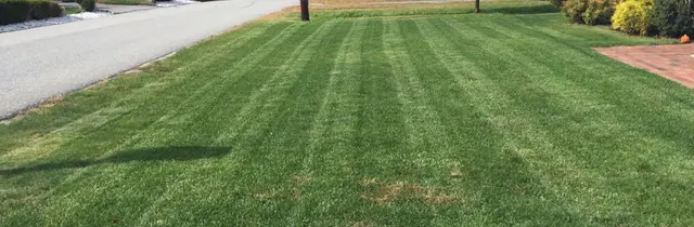 Patriot Pest Management — customer photo 6