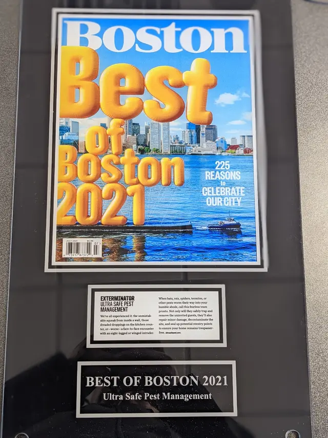 Ultra Safe Pest Management — photo from the business 10