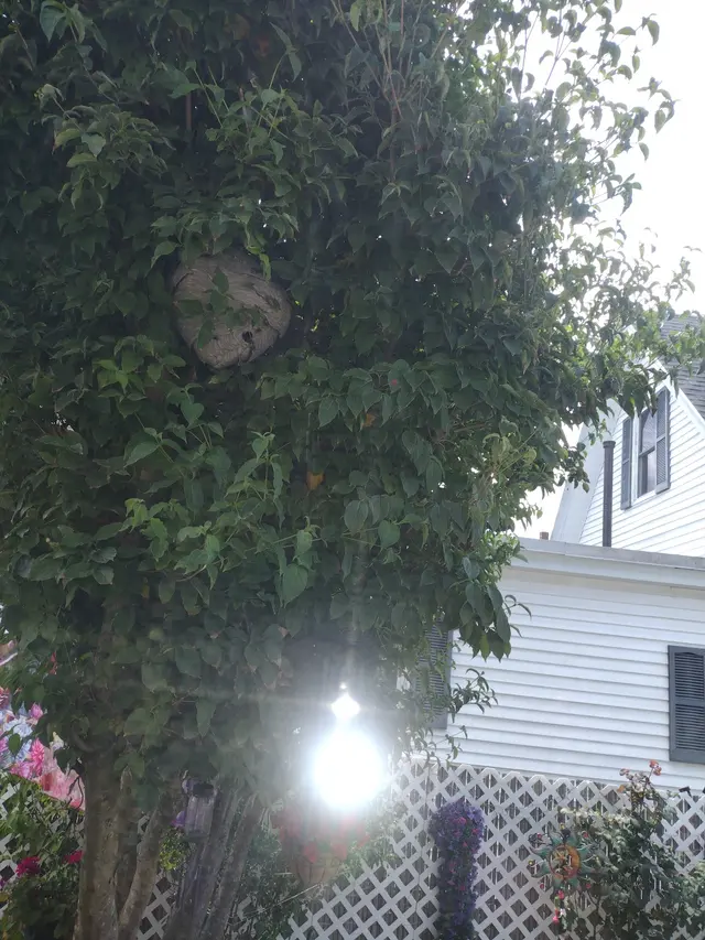 Banner Pest Control — customer photo 11