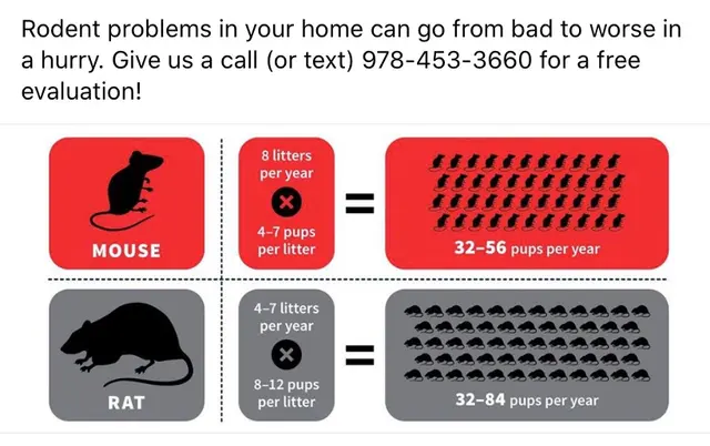 Banner Pest Control — photo from the business 6