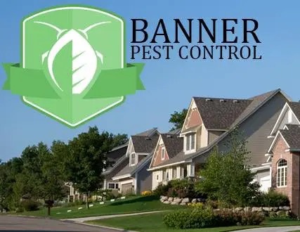 Banner Pest Control — photo from the business 10