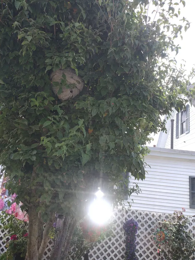 Banner Pest Control — customer photo 12