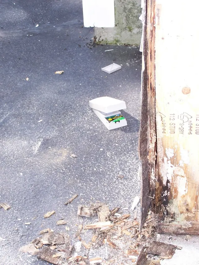 Pest Specialist LLC — photo from the business 3
