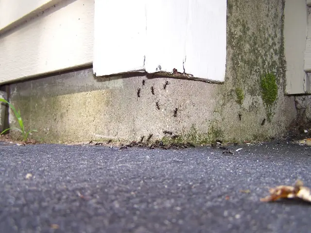 Pest Specialist LLC — photo from the business 2
