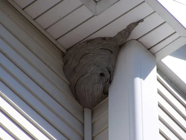 Pest Specialist LLC — photo from the business 5
