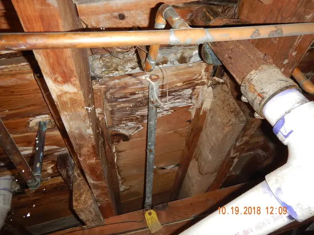 Home Check Inspection — photo from the business 1