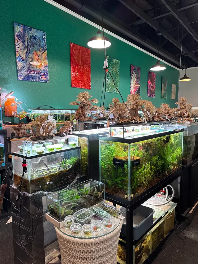 A Betta World — customer photo 1