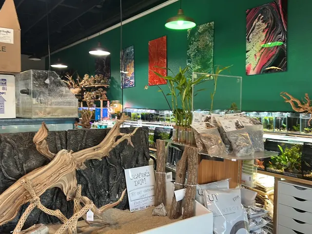 A Betta World — customer photo 7