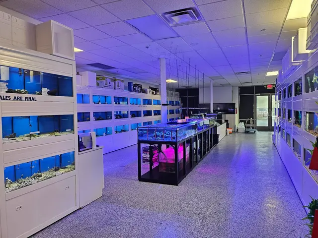 Sin City Aquatics & Maintenance — customer photo 2