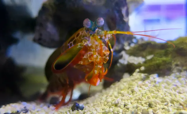 Sin City Aquatics & Maintenance — customer photo 9