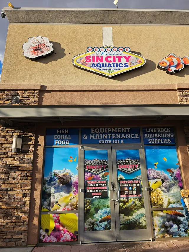 Sin City Aquatics & Maintenance — customer photo 1