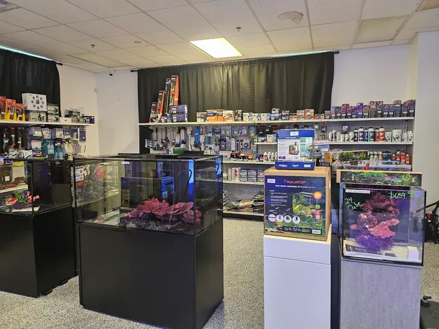 Customer photo of work by Sin City Aquatics & Maintenance, from Holiben's review