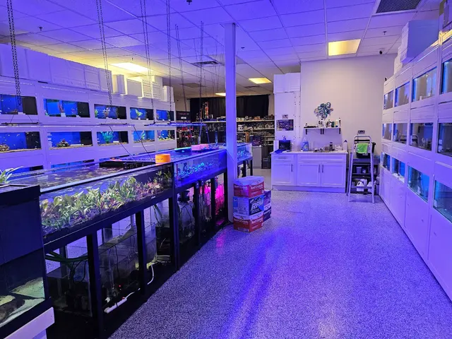 Sin City Aquatics & Maintenance — customer photo 4