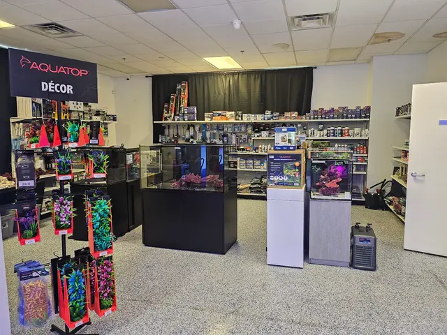 Sin City Aquatics & Maintenance — customer photo 7