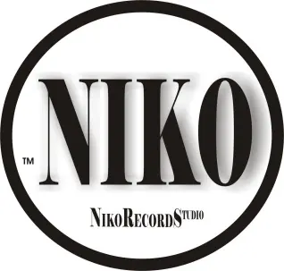 Niko Records Studio — photo from the business 12