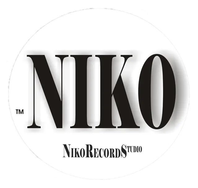 Niko Records Studio — photo from the business 11