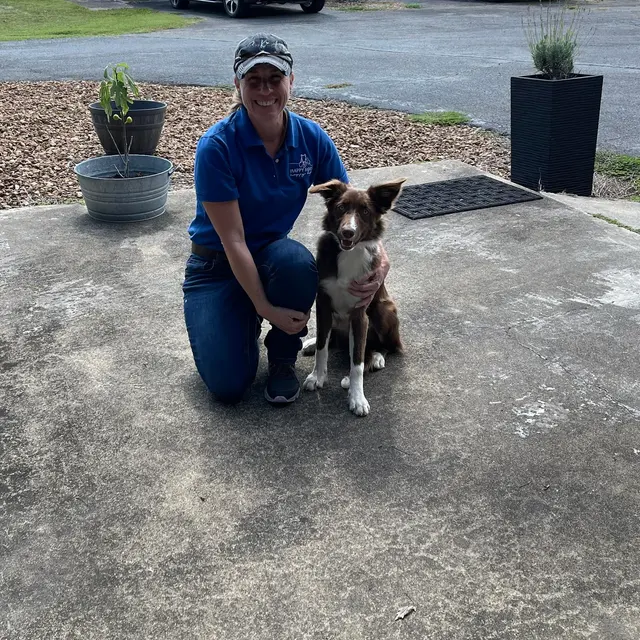 Kindred Spirits Dog Training — photo from the business 6