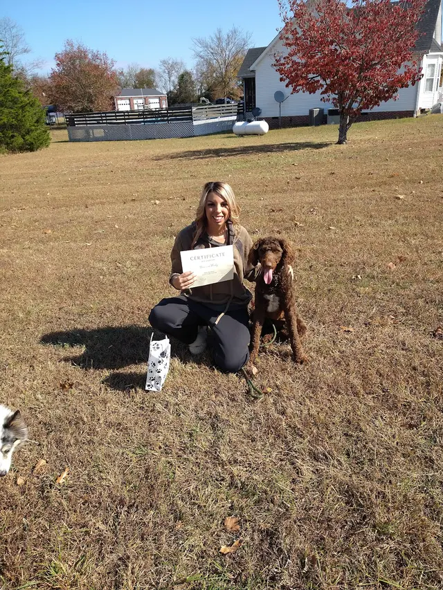 Black Dog Farm - Dog Training — photo from the business 1