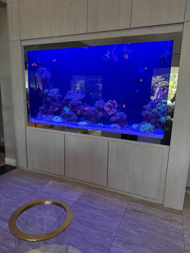 Infinity Aquarium Design — customer photo 11