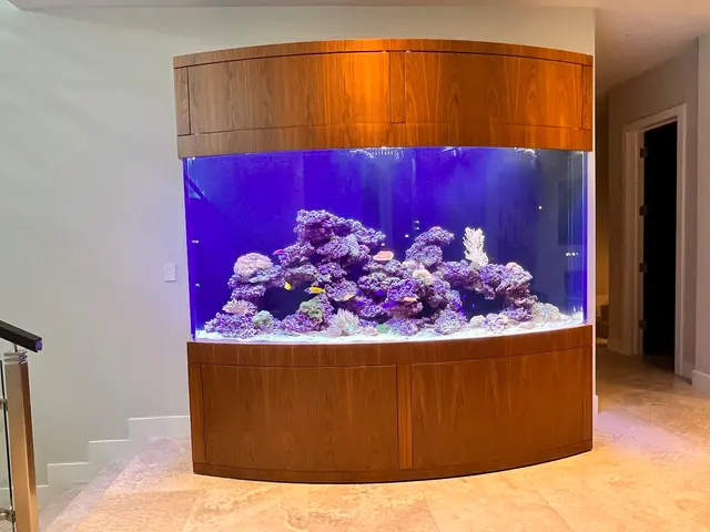 Infinity Aquarium Design — photo from the business 10