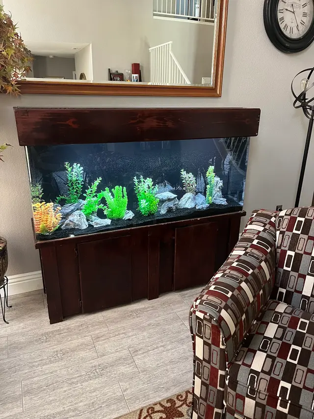 Infinity Aquarium Design — customer photo 8