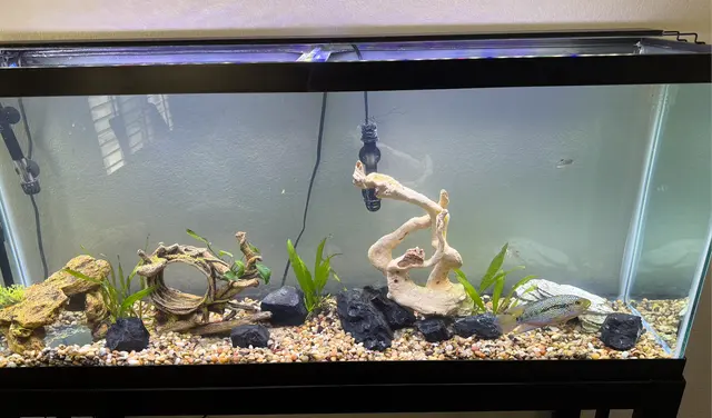 Infinity Aquarium Design — customer photo 6