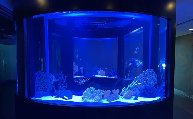 Infinity Aquarium Design — customer photo 12