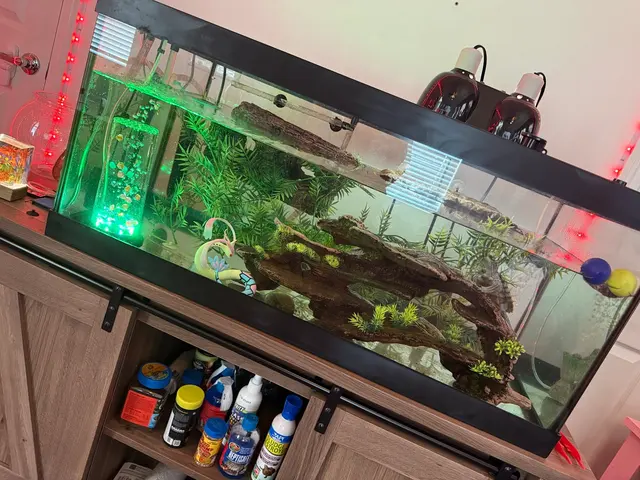 Infinity Aquarium Design — customer photo 5