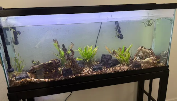 Infinity Aquarium Design — customer photo 3