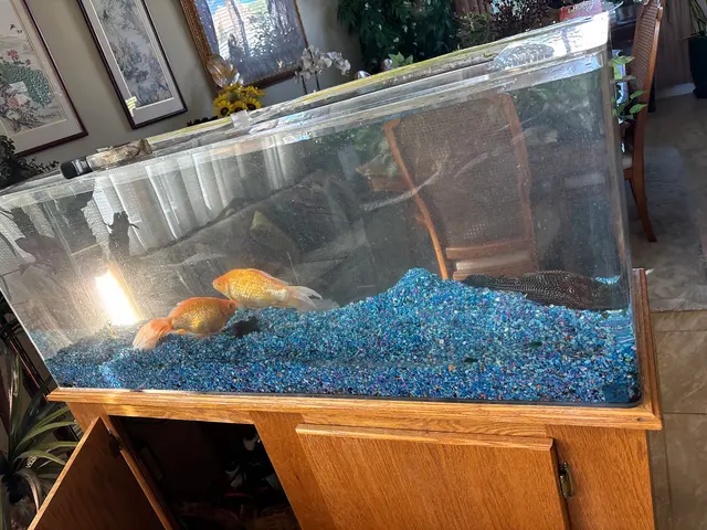Infinity Aquarium Design — customer photo 1