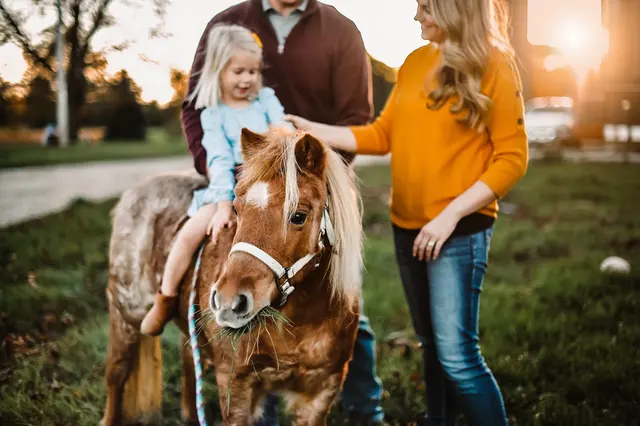 Sabrina Childers Photography — photo from the business 2