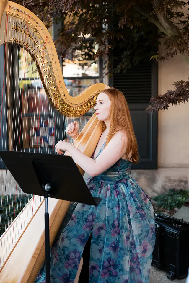 Customer photo of work by Allexx B Photography, from Harpist Lauren McCombe's review