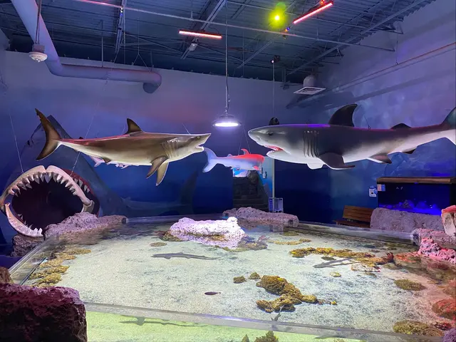 One World Interactive Aquarium — customer photo 6