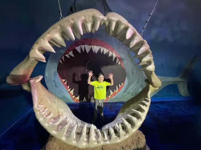 One World Interactive Aquarium — customer photo 2