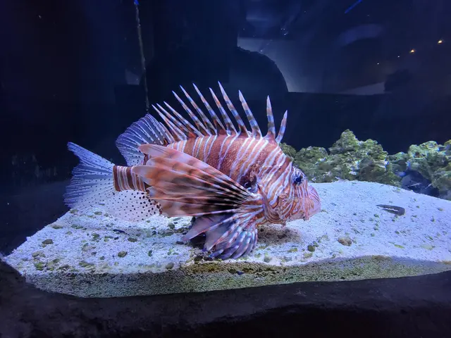 One World Interactive Aquarium — customer photo 5