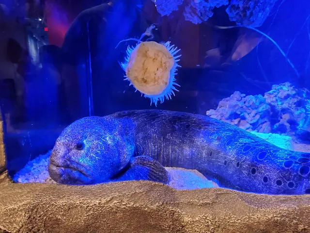 One World Interactive Aquarium — customer photo 1