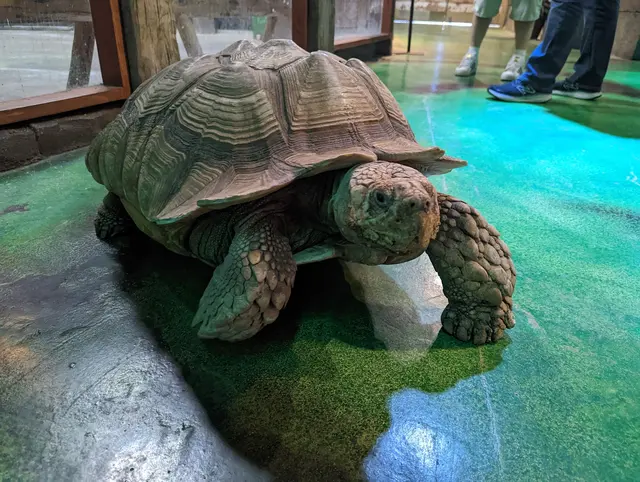 One World Interactive Aquarium — customer photo 3